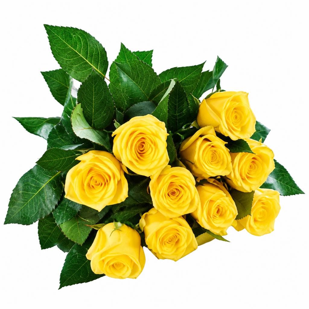 Mazzo 10 rose, 10 rose – Esselunga