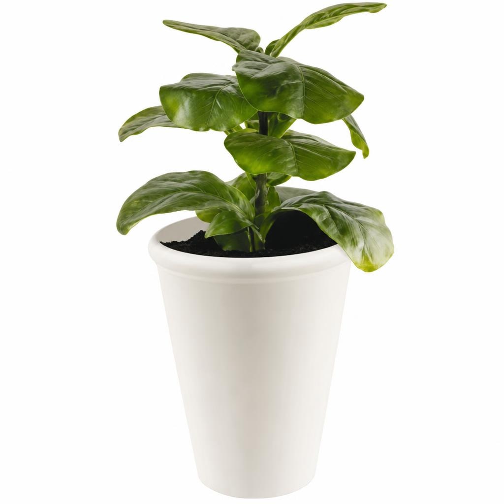 Vaso in resina Belavi in offerta da ALDI