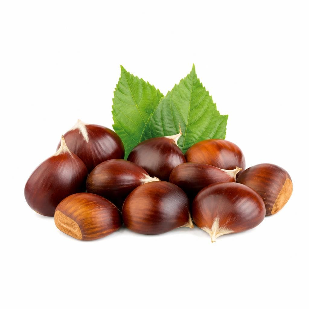 Castagne – ALDI