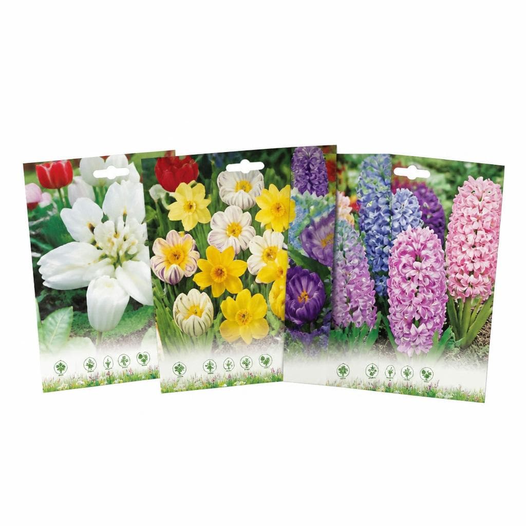 Bulbi autunno assortiti DOM – Bennet