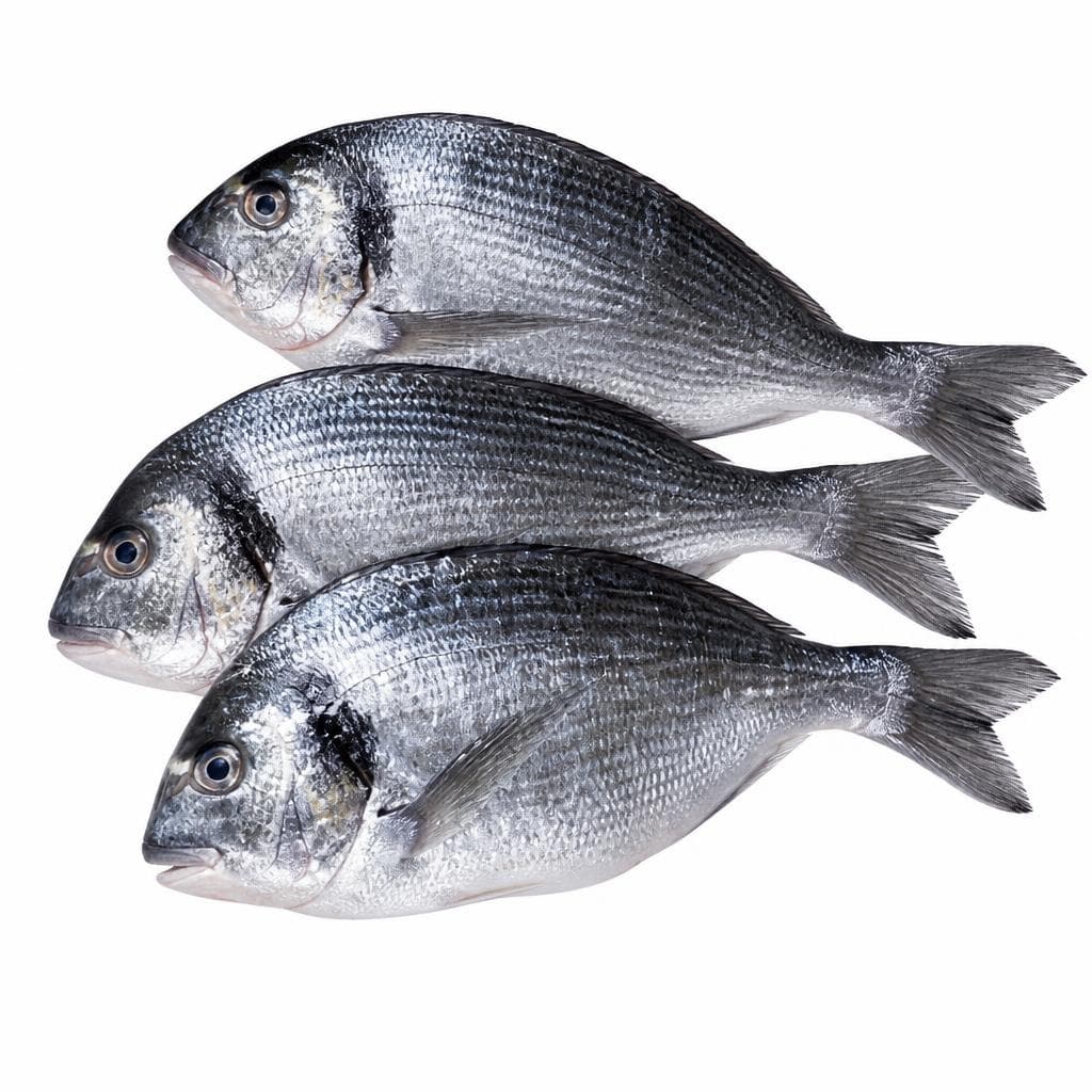 Orata Croazia allevata nel Mar Adriatico, 400/600 g Cromaris – Carrefour