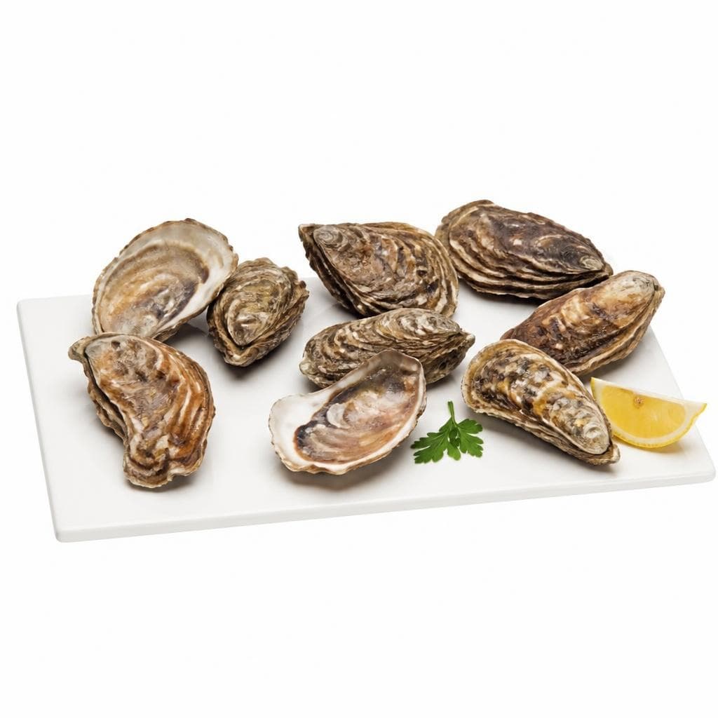 Ostriche concave, 1 kg – Carrefour
