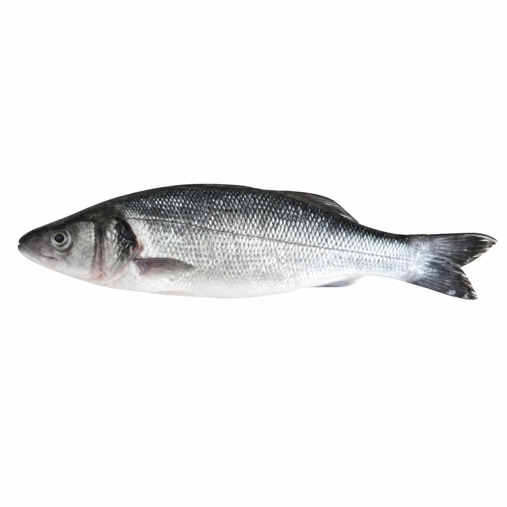 Branzino, al kg – Bennet