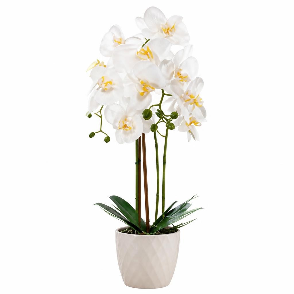 Orchidea artificiale Home Creation in offerta da ALDI